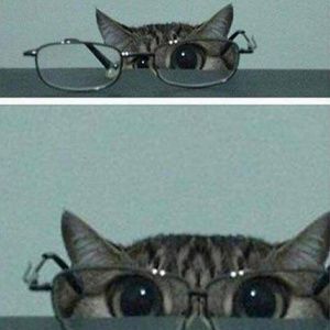 Meet your Posher, Kaneswha